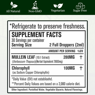 Mullein + Chlorophyll Lung Detox